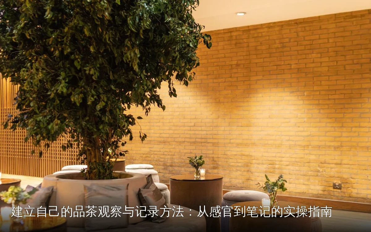 建立自己的品茶观察与记录方法：从感官到笔记的实操指南