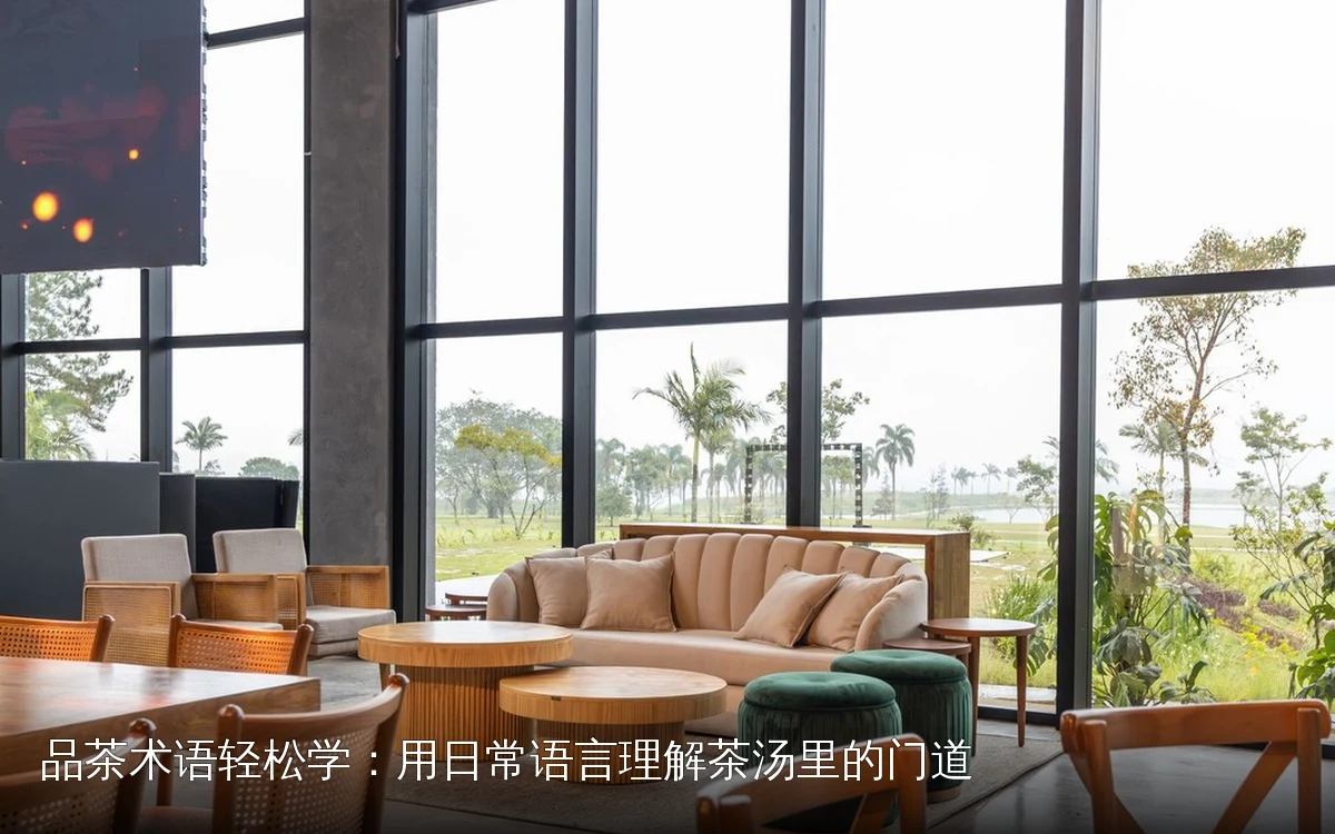 品茶术语轻松学：用日常语言理解茶汤里的门道